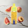 Watermelon Mango Peach JNR Alien Pod 13000 Puffs Görögdinnye Mango Őszibarack 850mAh Akkumulátor Kapacitás és 20ml E-liquid vape Hungary